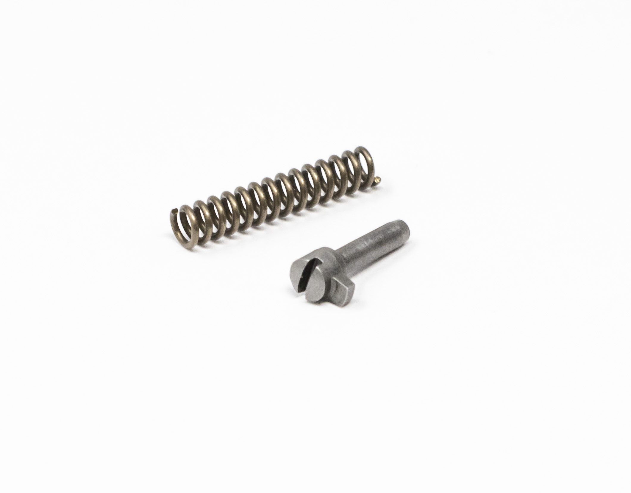 Magazine Catch Lock Kit - Spring and Pin Stainless – Fusion Firearms