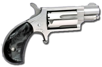 North American Arms Mini 22 Mag Revolver — 1-1/8″ Stainless
