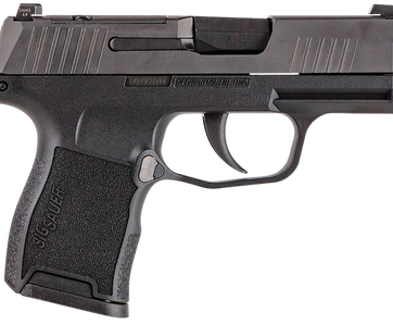 Sig Sauer P365 .380 ACP 3.1" Barrel 10-Rounds MS - New Arrivals | American Guns & Ammo