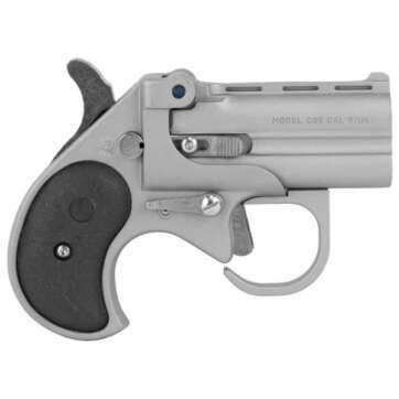 Cobra Firearms Big Bore 9mm Stainless Steel W/ Trigger Guard BBG9SB - American Guns & Ammo