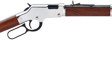 Henry Golden Boy Silver Youth 22 LR H004SY - Lever Action Rifles | American Guns & Ammo