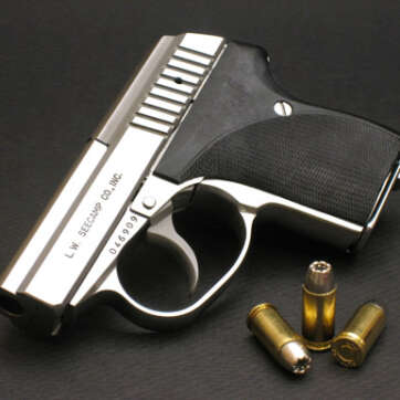 SEECAMP 32 semi auto pistol Stainless LWS .32 Seacamp NIB - Firearms - American Guns & Ammo
