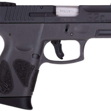 Taurus G2C 9mm 12 Round Capacity Grey Frame 1-G2C931-12G - American Guns & Ammo