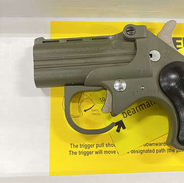 Cobra Firearms Big Bore 22 Mag OD Green BBG22GB - American Guns & Ammo