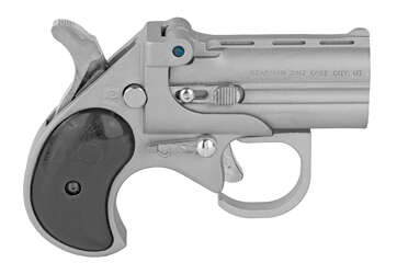 Cobra Firearms Big Bore 22 Mag Stainless Steel BBG22SB - Other Pistols | American Guns & Ammo