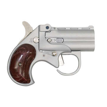 Cobra Firearms BIG BORE 22 Mag BBG22SR - Other Pistols | American Guns & Ammo