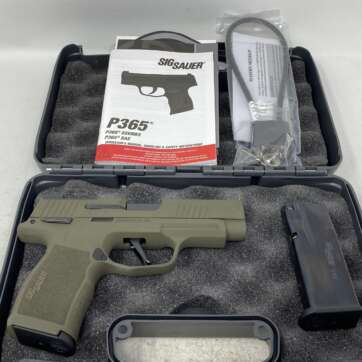 Sig Sauer 365 XL manual safety 9mm 12rd w/ green finish - used 365XL-9-BXR3-MS - Semi Auto Pistols - American Guns & Ammo