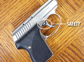 Seecamp 32 California Edition Stainless LWS .32 Seacamp NIB - Firearms - American Guns & Ammo
