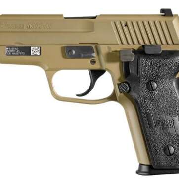 Sig Sauer P229 9mm Luger M11-A1-D - Semi Auto Pistols - American Guns & Ammo