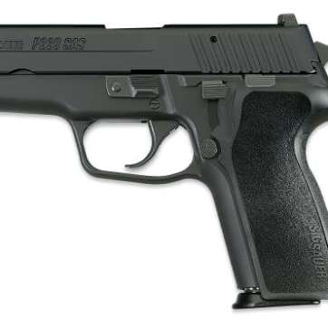 Sig Sauer P229 9mm Luger SAS DA/SA NS E29-9-SAS2B - Semi Auto Pistols - American Guns & Ammo