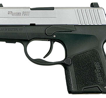 Sig Sauer P290 380 ACP two tone NS 290RS-380-TSS - Semi Auto Pistols - American Guns & Ammo