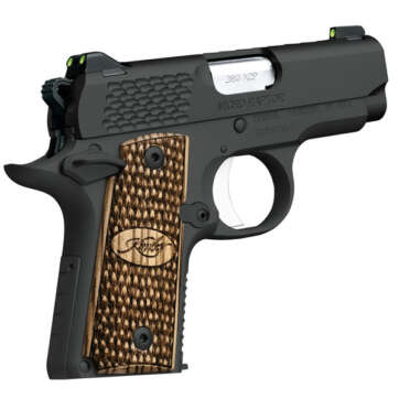 Kimber Micro380 380 ACP Micro Raptor 3300087 - American Guns & Ammo