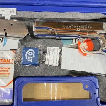 Colt Goverment Model 45 ACP 5" Brushed Stainless Colt Goverment Model 45 ACP 5" Brushed Stainless - Semi Auto Pistols - American Guns & Ammo