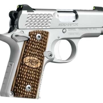 Kimber Micro9 9mm Stainless Raptor 3300109 - American Guns & Ammo