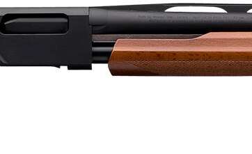 Winchester SXP Field Youth 20 Ga Pump Action 24" Barrel 512367690 - American Guns & Ammo