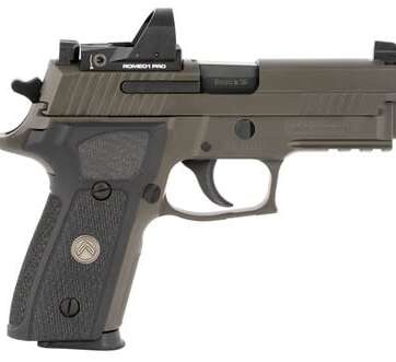 Sig Sauer P229 Compact Legion RX Gray 9mm 3.9" Barrel 10-Round - New Arrivals - American Guns & Ammo