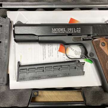 Chiappa Firearms 1911-22 22 LR 5" Semi-auto Pistol - Semi Auto Pistols - American Guns & Ammo