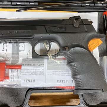 Magnum Research Baby Eagle 40 S&W 2 Mags - Semi Auto Pistols - American Guns & Ammo