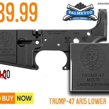 Anderson Lower AR-15 Stripped Receiver Trump Punisher Skull - Special Edition - So Beautiful! - Collector Guns | American Guns & Ammo