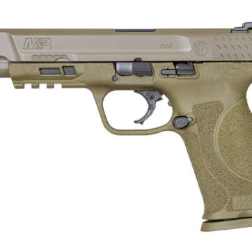 Smith & Wesson M&P9 M2.0 9mm, 5" Barrel, 3-Dot Sights, NTS, Flat Dark Earth, 17rd - Handsguns | American Guns & Ammo