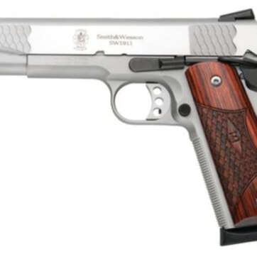 Smith & Wesson SW1911 E-Series, 45 ACP, SS - Handsguns | American Guns & Ammo