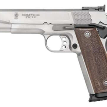 Smith & Wesson 1911 PRO 9MM 5" Barrel Adjustable Sites SS Finish - Handsguns | American Guns & Ammo