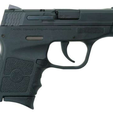 Smith & Wesson Bodyguard 380acp, No Safety, 6 rd - Handsguns - American Guns & Ammo