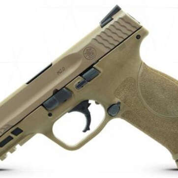 Smith & Wesson M&P M2.0 40S&W, 4.25", 15rd, Flat Dark Earth, Truglo TFX Sights - Handsguns - American Guns & Ammo