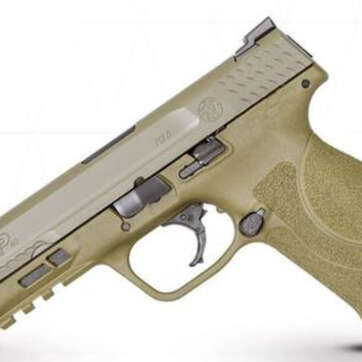 Smith & Wesson M&P .40S&W, 5", M2.0 NTS Flat Dark Earth 15R - Handsguns - American Guns & Ammo