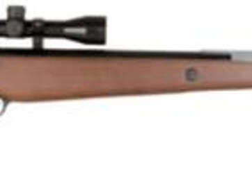 Beeman Quiet Teck Air Rifle Break Open Gas Ram .177/.22 Black - Air Guns & BB Guns | American Guns & Ammo