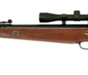 Beeman Teton Air Rifle Break Open .22 Black - Air Guns & BB Guns | American Guns & Ammo