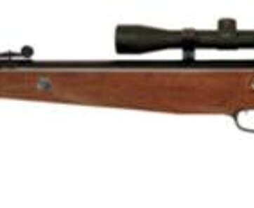 Beeman Grizzly X2 Air Rifle Break Open Gas Ram .177/.22 Black, Scope - Air Guns & BB Guns | American Guns & Ammo