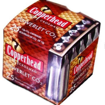 Crosman Powerlet CO2 Cartridges, 12 Grams, Stainless, 25/Pack - Air Guns & BB Guns | American Guns & Ammo