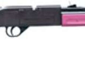 Crosman 760P .177 Air Rifle Pump, Black - Air Guns & BB Guns | American Guns & Ammo
