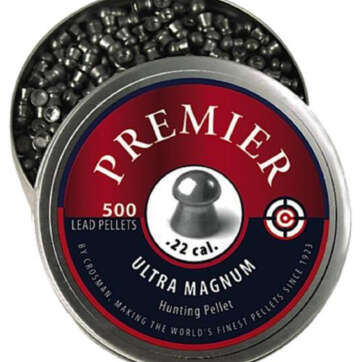 Crosman Premier Pellets Domed .22 Silver 500 Count - Air Guns & BB Guns | American Guns & Ammo