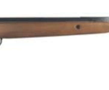 Benjamin Titan NP Air Rifle Break Open .177 Pellet, Scope Hardwood St - Air Guns & BB Guns | American Guns & Ammo