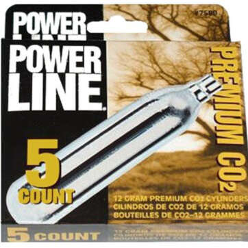 Daisy CO2 Cartridges, Stainless Daisy CO2 Cartridges, Stainless - Air Guns & BB Guns - American Guns & Ammo