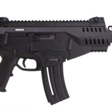Beretta ARX-160P Pistol .22LR, Rails and Sights - Handsguns | American Guns & Ammo