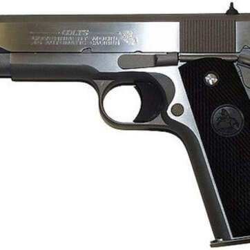 Colt Government .38 Super, 9+1, 5", Stainless Steel - Handsguns | American Guns & Ammo