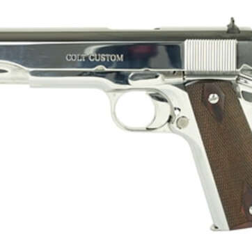 Colt Government 1911, 45 ACP, 5" Barrel, Steel Frame, Bright Stainless Finish, 7Rd Mag, White Dot Sights - Handsguns - American Guns & Ammo