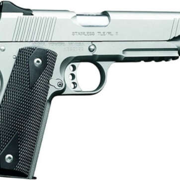 Kimber Stainless TLE/RL II, 45ACP, Night Sights, CA Approved - Handsguns | American Guns & Ammo