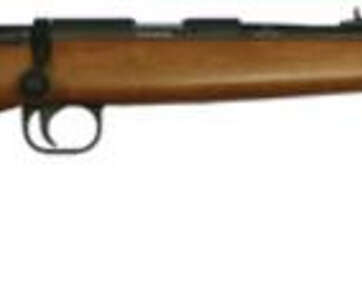 Rock Island Armory 14Y Youth Rifle, 22LR, 18" Contoured Barrel, Parkerized, Wood Stock, 10rd - RIFLES | American Guns & Ammo
