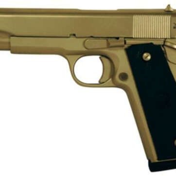 Rock Island Armory M1911-A1 FS 45 ACP 5" Barrel Matte Nickel Finish Fixed Sights 8rd - Handsguns | American Guns & Ammo