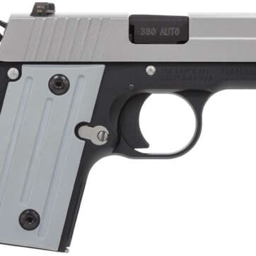 SIG P238, .380 ACP, 2.7", 6rd, Two-Tone, Night Sights - Handsguns - American Guns & Ammo
