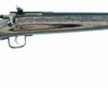 Keystone Crickett 22LR, 16.5", Laminated Blue - Uncategorized | American Guns & Ammo