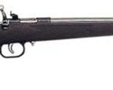 Keystone Crickett 22LR, SS Barrel, Black Synthetic Stock - RIFLES | American Guns & Ammo