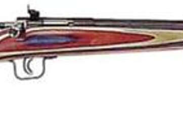 Keystone Crickett 22LR, 16.12" Red, White & Blue Laminate, PG - Uncategorized | American Guns & Ammo