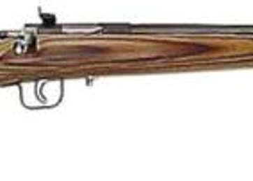 Keystone Crickett 22LR, 16.12", Brown Laminate, Blued - RIFLES | American Guns & Ammo