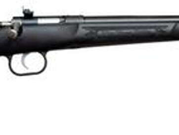 Keystone Davey Crickett Model 280 Youth With Lock .22 Winchester Magnum 16.125" Barrel Blue Finish Black Synthetic Stock - RIFLES | American Guns & Ammo