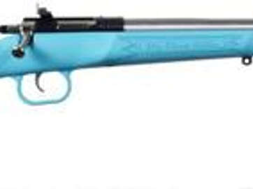 Keystone Crickett 22LR, 16.125", 1 Synthetic KSA2303 - Uncategorized | American Guns & Ammo